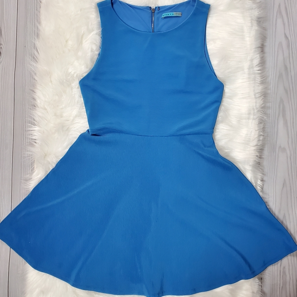 Alice+Oliva Sleeveless Blue Skater Dress Size 4